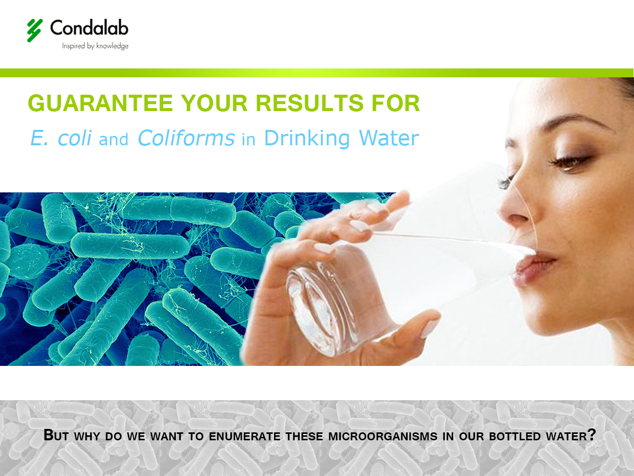 E. coli and Coliforms in Drinking Water