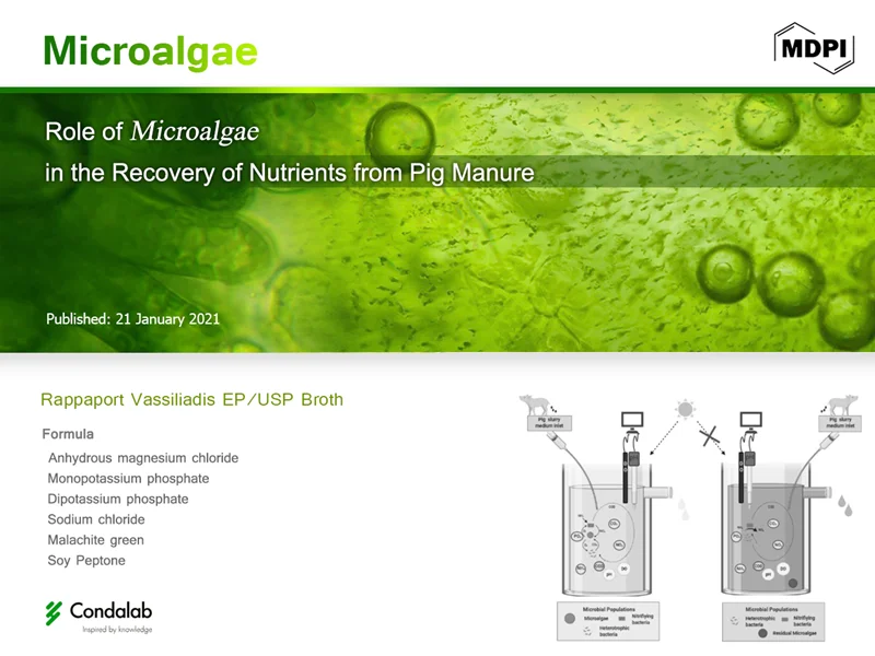 Role of Microalgae