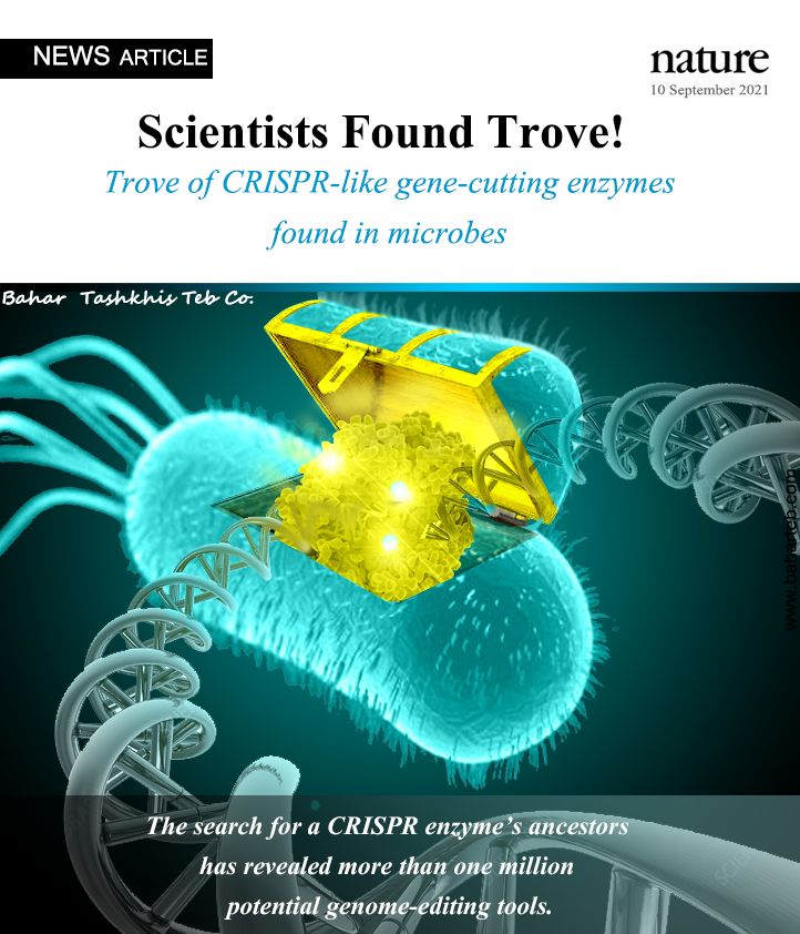 CRISPR-like gene-editing enzymes