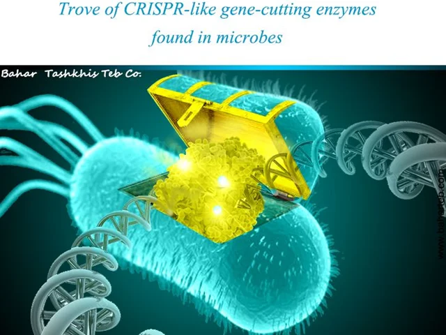 CRISPR-like gene-editing enzymes
