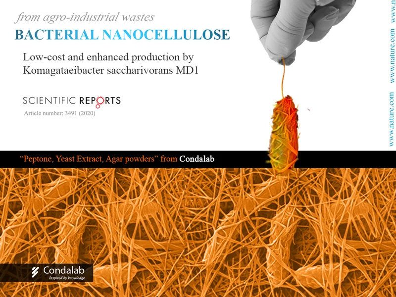 Bacterial nanocellulose