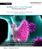 SARS-CoV-2 and Thyroid Interaction