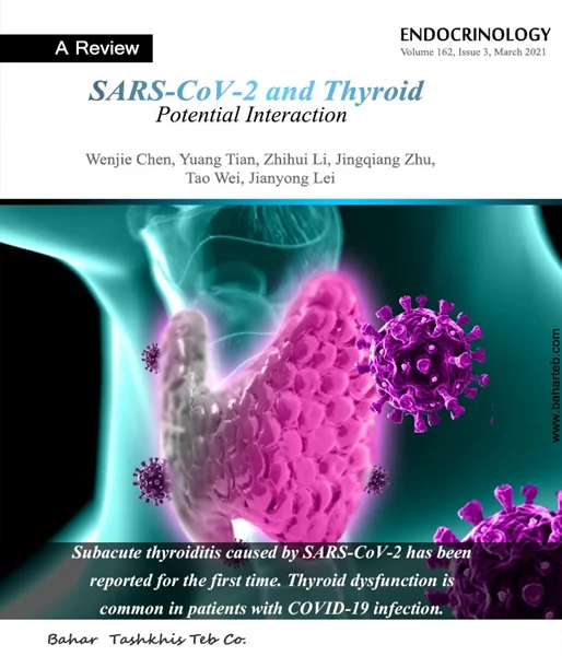 SARS-CoV-2 and Thyroid Interaction